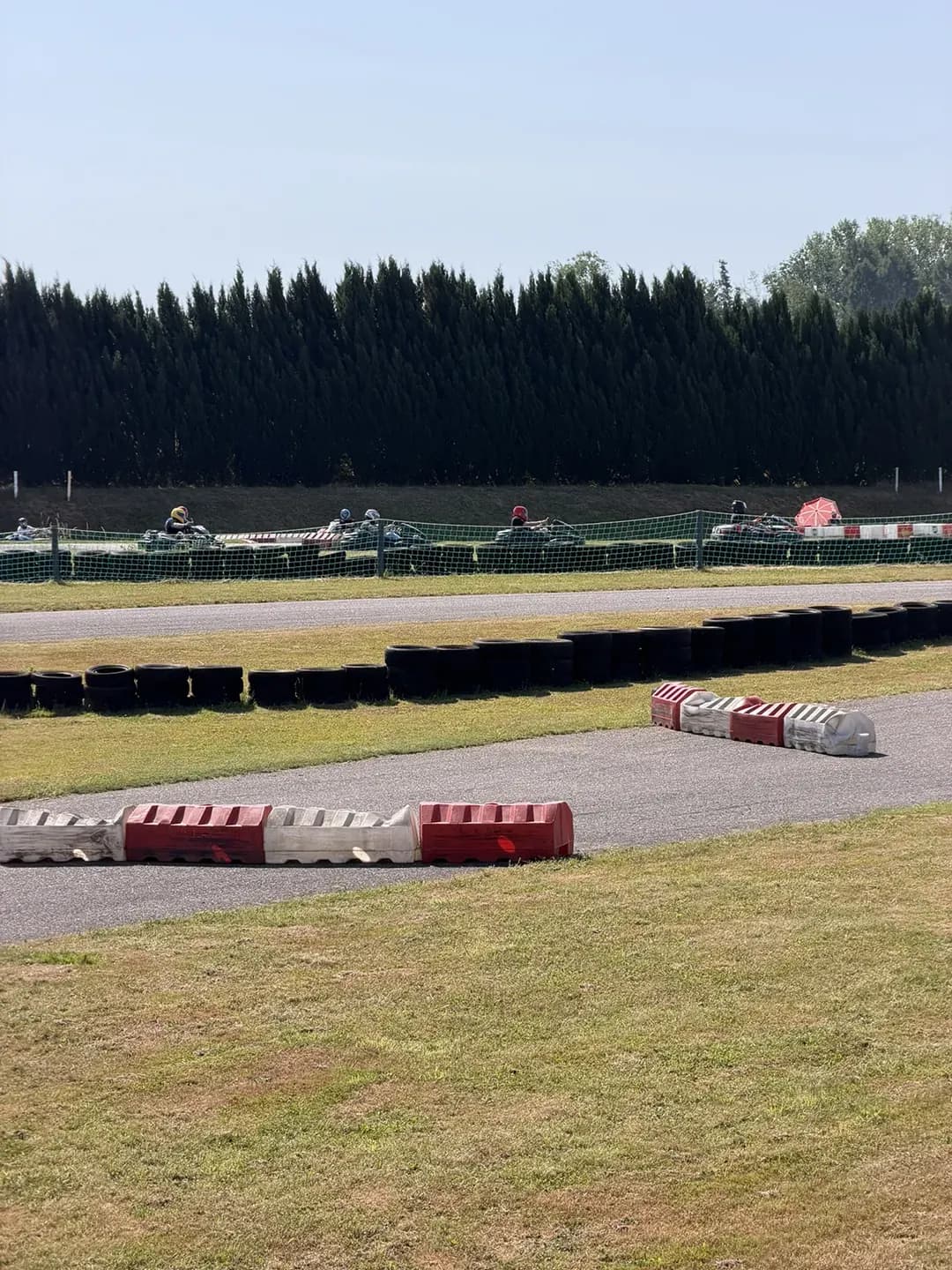 Karts auf der Strecke, vorne rot-weisse Randsteine, dahinter Nadelwald